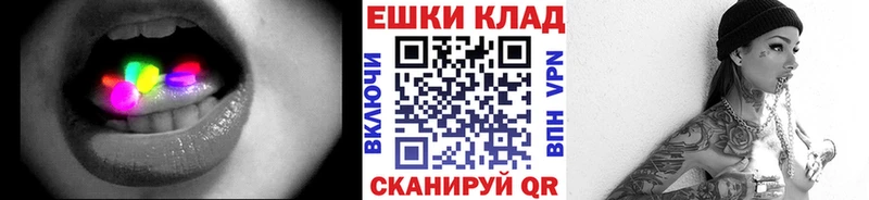 ЭКСТАЗИ диски  дарнет шоп  Губкинский 