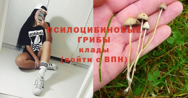 марки lsd Верея