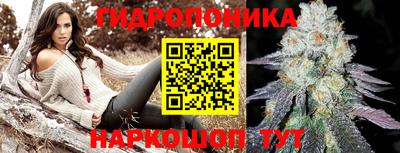 spice Бузулук