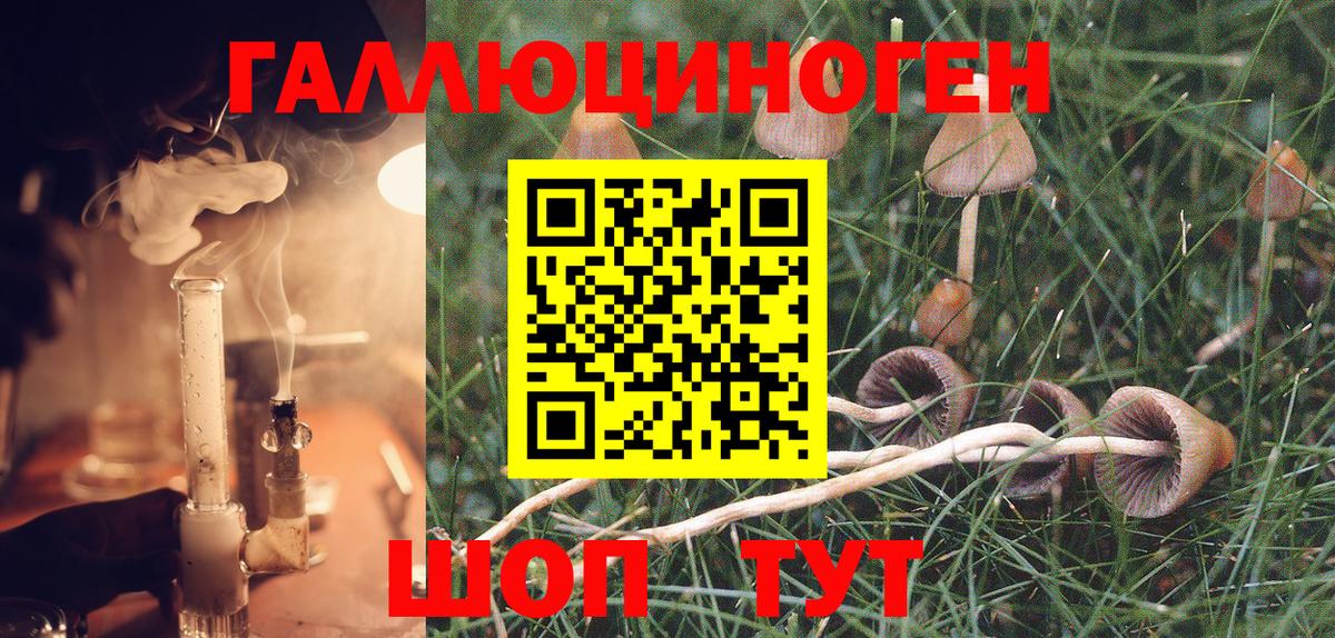 Галлюциногенные грибы ЛСД  Губкинский 