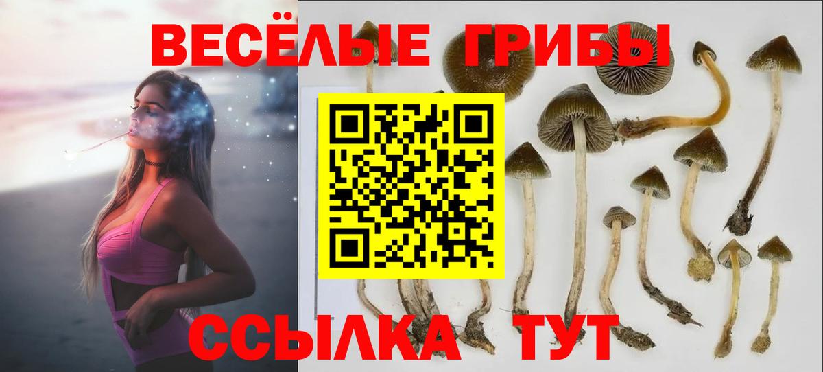 Галлюциногенные грибы прущие грибы  Вход с VPN  Губкинский 