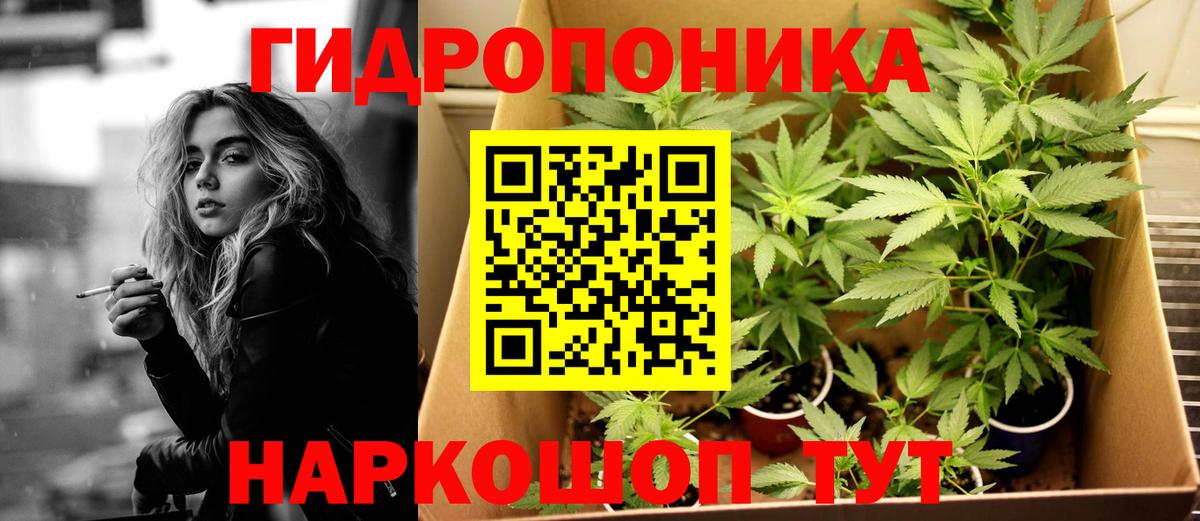 Конопля индика  Конопля марихуана  Вход с VPN  Губкинский  Бошки Шишки сатива 